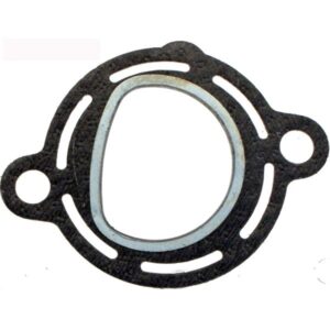 Dichtung Auslass RMS fuer PIAGGIO Ape Car/TM fuer PIAGGIO Ape Car/TM
