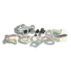 Motorgehaeuse MALOSSI fuer PEUGEOT 103 RCX/SPX fuer PEUGEOT 103 RCX/SPX
