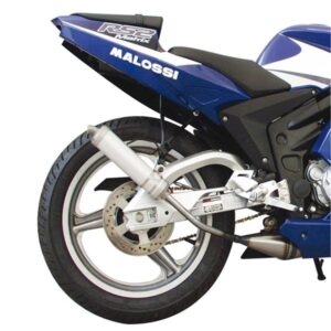 Rennauspuff MALOSSI GP MHR fuer APRILIA 50 RS/DERBI 50 GPR Nude/Racing 50ccm 2T LC fuer APRILIA 50 RS/DERBI 50 GPR Nude/Racing 50ccm 2T LC