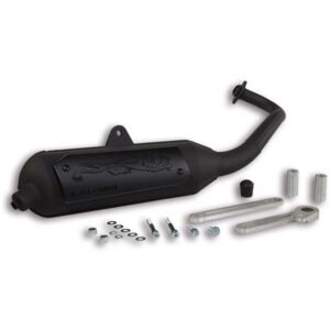 Rennauspuff MALOSSI Wild Lion fuer APRILIA SR Motard/ PIAGGIO Typhoon (- 11-) 50ccm 2T AC/LC fuer APRILIA SR Motard/ PIAGGIO Typhoon (- 11-) 50ccm 2T AC/LC