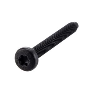 Schraube Luftfilterkasten M6x55 mm, Linsenkopf Torx, PIAGGIO fuer Vespa GTS/GTS Super/Primavera/Sprint 50-300ccm fuer Vespa GTS/GTS Super/Primavera/Sprint 50-300ccm