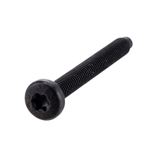 Schraube Luftfilterkasten M6x55 mm, Linsenkopf Torx, PIAGGIO fuer Vespa GTS/GTS Super/Primavera/Sprint 50-300ccm fuer Vespa GTS/GTS Super/Primavera/Sprint 50-300ccm