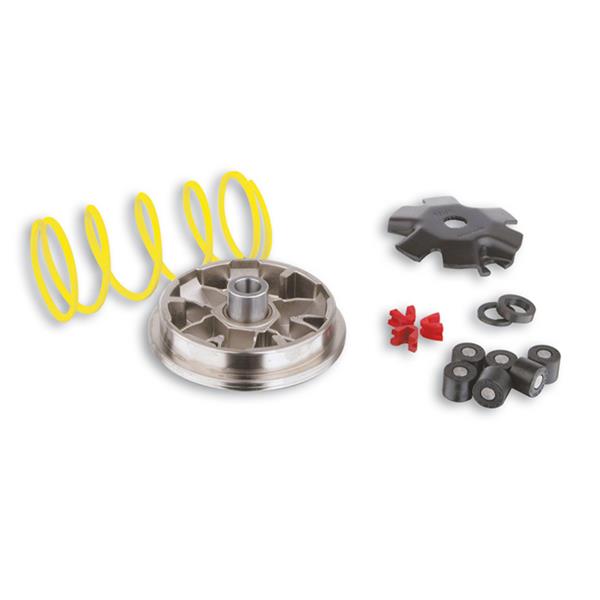 Variator MALOSSI fuer HONDA SFX/SGX-SKY/SH ('96-) Shadow/SJ Bali/X8R fuer HONDA SFX/SGX-SKY/SH ('96-) Shadow/SJ Bali/X8R