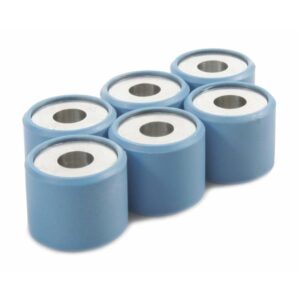 Variatorrollen PIAGGIO 19x17 mm 10,0g fuer PIAGGIO Leader 150ccm AC fuer PIAGGIO Leader 150ccm AC