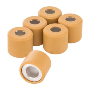 Variatorrollen PIAGGIO 19x17 mm 7,4g fuer Vespa GTS/GTS Super/GTV/GT/GT L 125ccm fuer Vespa GTS/GTS Super/GTV/GT/GT L 125ccm