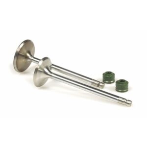 Ventil Kit MALOSSI fuer HONDA 250ccm 4T LC fuer HONDA 250ccm 4T LC