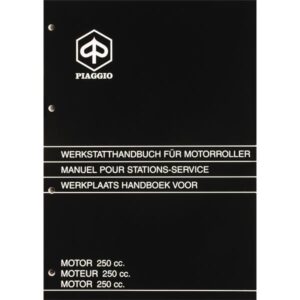 Werkstatthandbuch PIAGGIO Motor 250ccm GT (Honda CN 250 Motor)