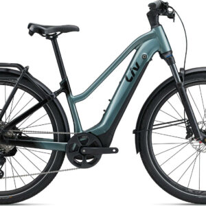 Liv Amiti-E+ Pro Silver Pine 2023 28"; 800 Wh Trapez