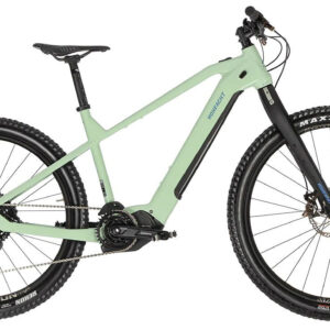 HoheAcht Sento Lumo Binsengras 2022 29";/27,5"; 630 Wh Diamant