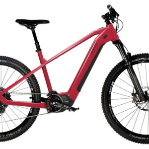 HoheAcht Sento Monto Sonnentau 2022 29";/27,5"; 630 Wh Diamant
