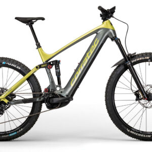 Corratec E-Power RS 160 Elite Silber-Grau/Gruen 2023 29";/27,5"; 625 Wh Diamant