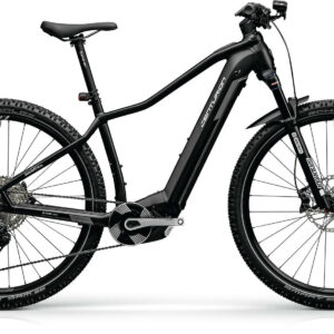 Centurion Backfire Fit R800i mattschwarz 2024 29"; 750 Wh Diamant