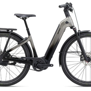 Giant AnyTour E+ 0 Space/Grey 2024 28"; 800 Wh Wave