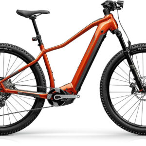 Centurion Backfire Fit R2000i bernstein 2024 29"; 750 Wh Diamant