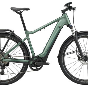 Giant Explore E+ 1 GTS Misty Forest/Black Satin-Matt 2024 28"; 625 Wh Diamant