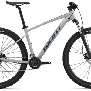 Giant Talon 3 good gray 2022 29"; Diamant