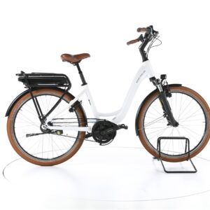 Riese & Müller Swing RT 2022