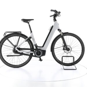 QWIC Premium Q MN8 2022