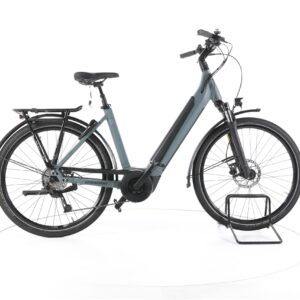 Winora Sinus 9 i 2022