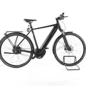 Riese & Müller Roadster vario 2022