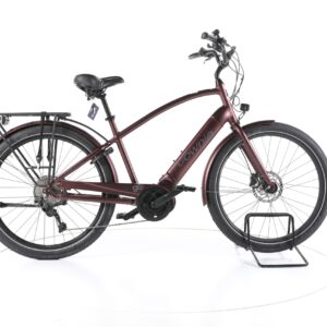 Electra Bicycle Townie Path Go! 2021