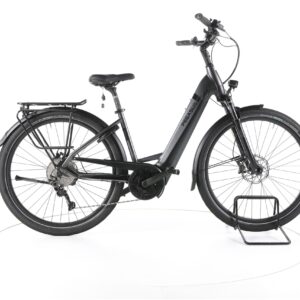 Pegasus Strong Evo 10 2022