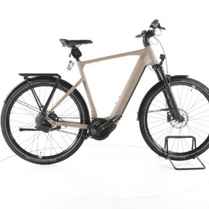 Rose Mayor Plus 3 2024