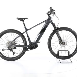 MORRISON Mohawk 2022