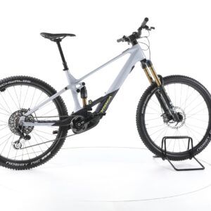Orbea Wild M-LTD 2024