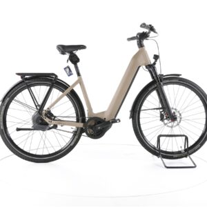 Rose MAYOR PLUS 3 2024