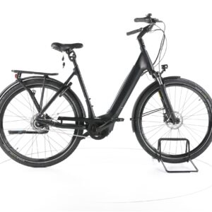 Giant DailyTour E+ 2 2021