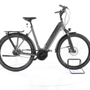 Raleigh Bristol XXL 2022