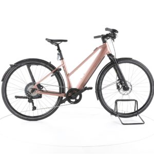 Riese & Müller UBN Seven touring 2021