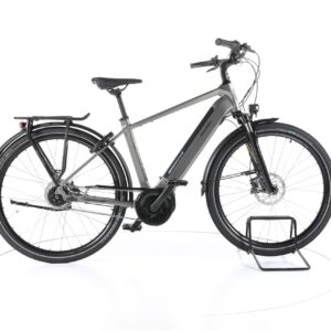 Raleigh Bristol XXL 2021