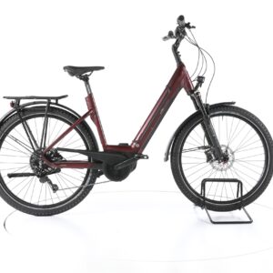 e-bike manufaktur 13ZEHN 2021