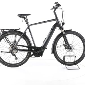 Pegasus Strong Evo 10 2022