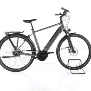 Raleigh Bristol R xxl 2022