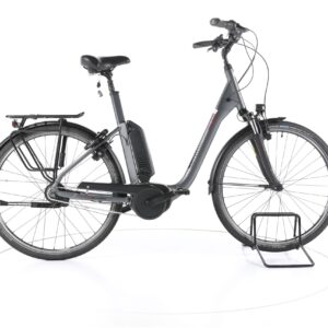 Raleigh Kingston 8 FL 2021